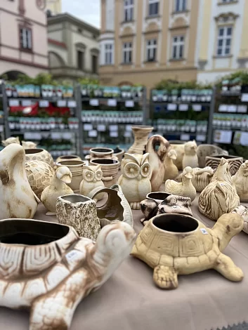 Květinový jarmark je tady!