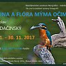 Fauna a flóra mýma očima