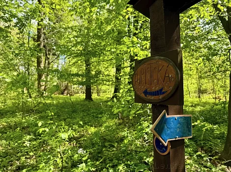 Studánková trasa wokół Puntíka