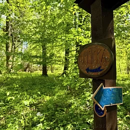 Studánková trasa kolem Puntíku