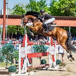 Sportovní stáj Kubrický Jan - Kunín