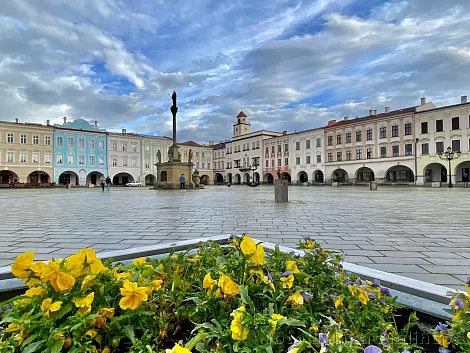 Virtuelle Besichtigung