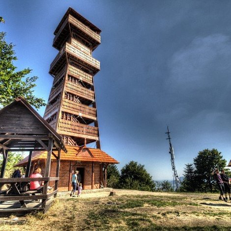 Velký Javorník (Bordovice)